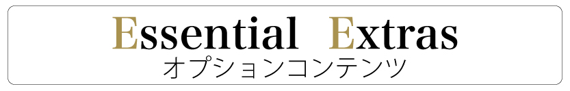 オプションコンテンツ